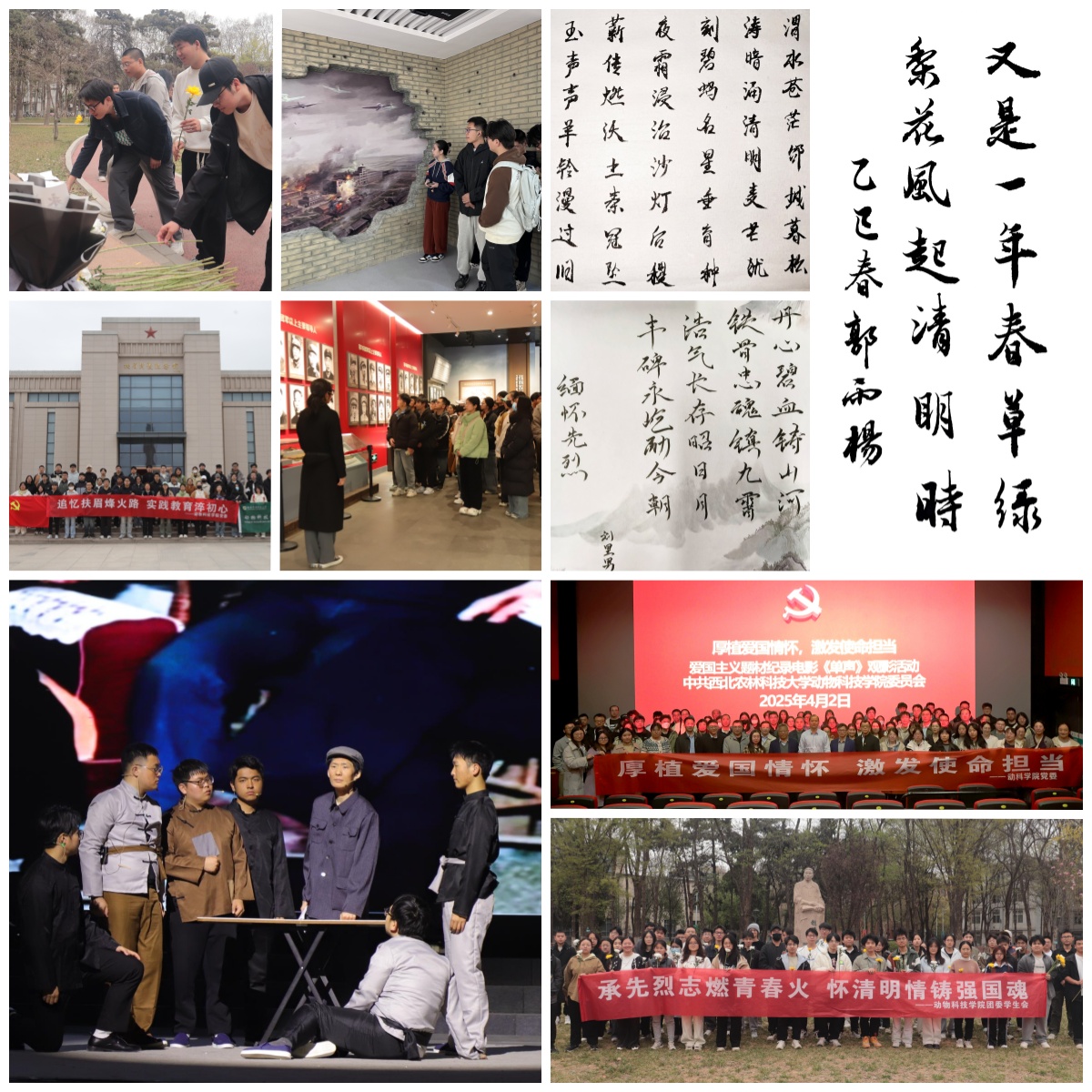 国产在线
开展清明节系列教育活动.jpg