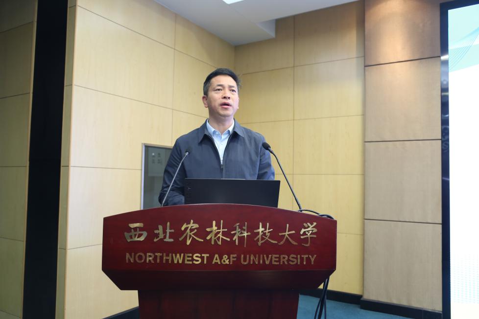 2.国产在线
党委书记张朝阳致辞