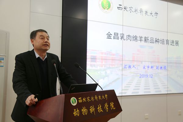 照片 004_副本.jpg