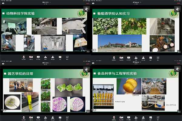 5bd6e7a45f7f47e186eb22d387230d61.png 图片1副本.png