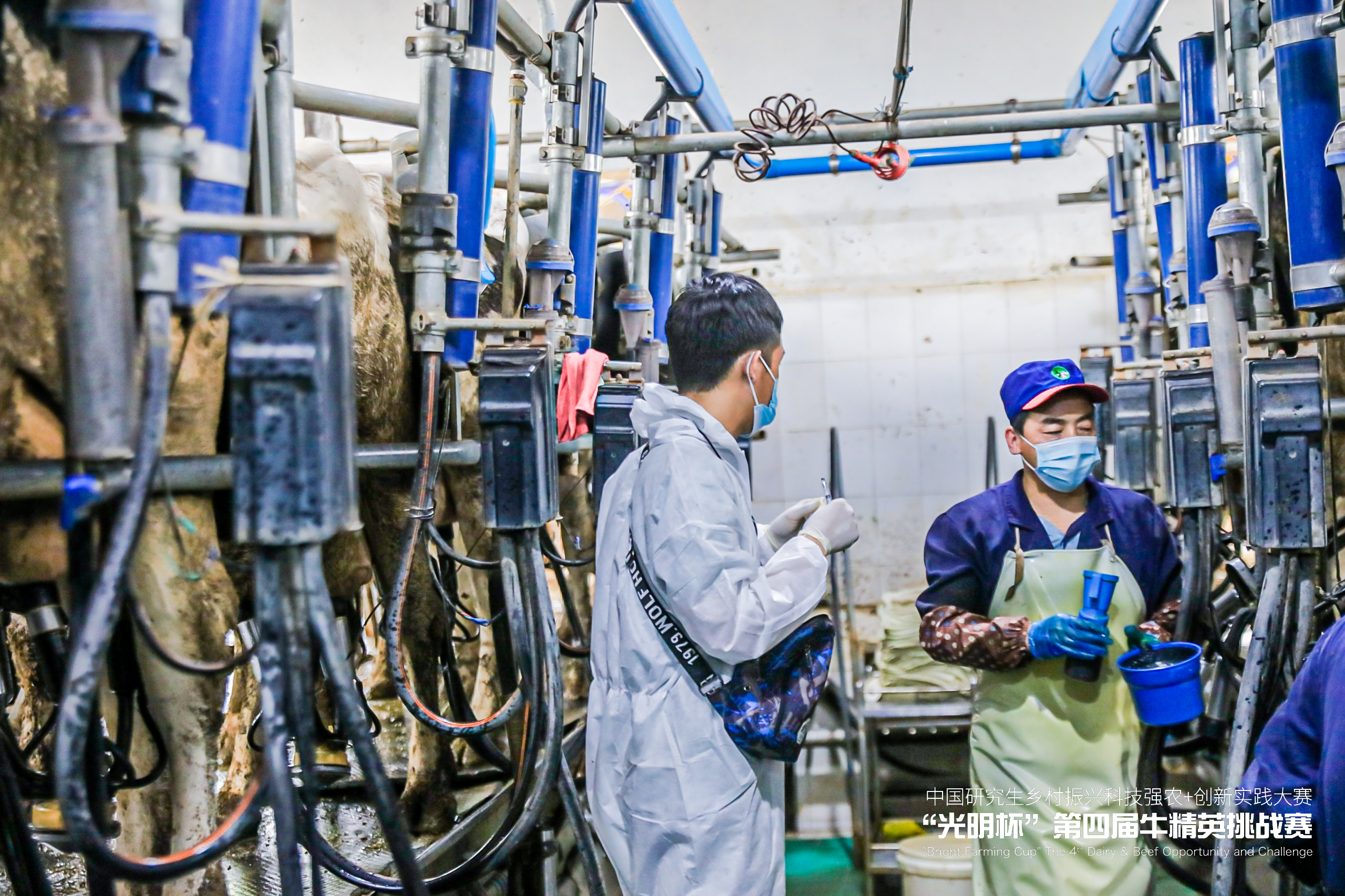 34367516896e4b5e980b9d83e2d8f8bd.jpg 34367516896e4b5e980b9d83e2d8f8bd.jpg