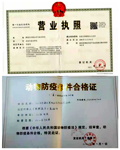 99e5eb6138404ecfbcd9ae475bdbbb44.png 图片3人副本.png