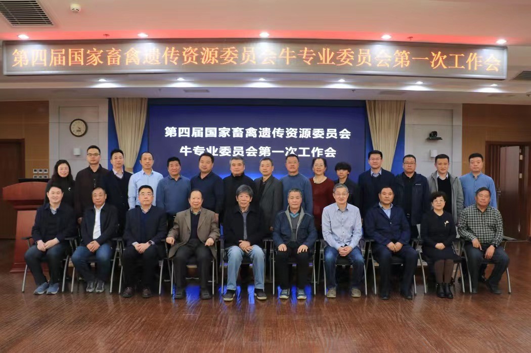 030a13be11f04f03bd9a0bd91ae4da17.jpg 030a13be11f04f03bd9a0bd91ae4da17.jpg