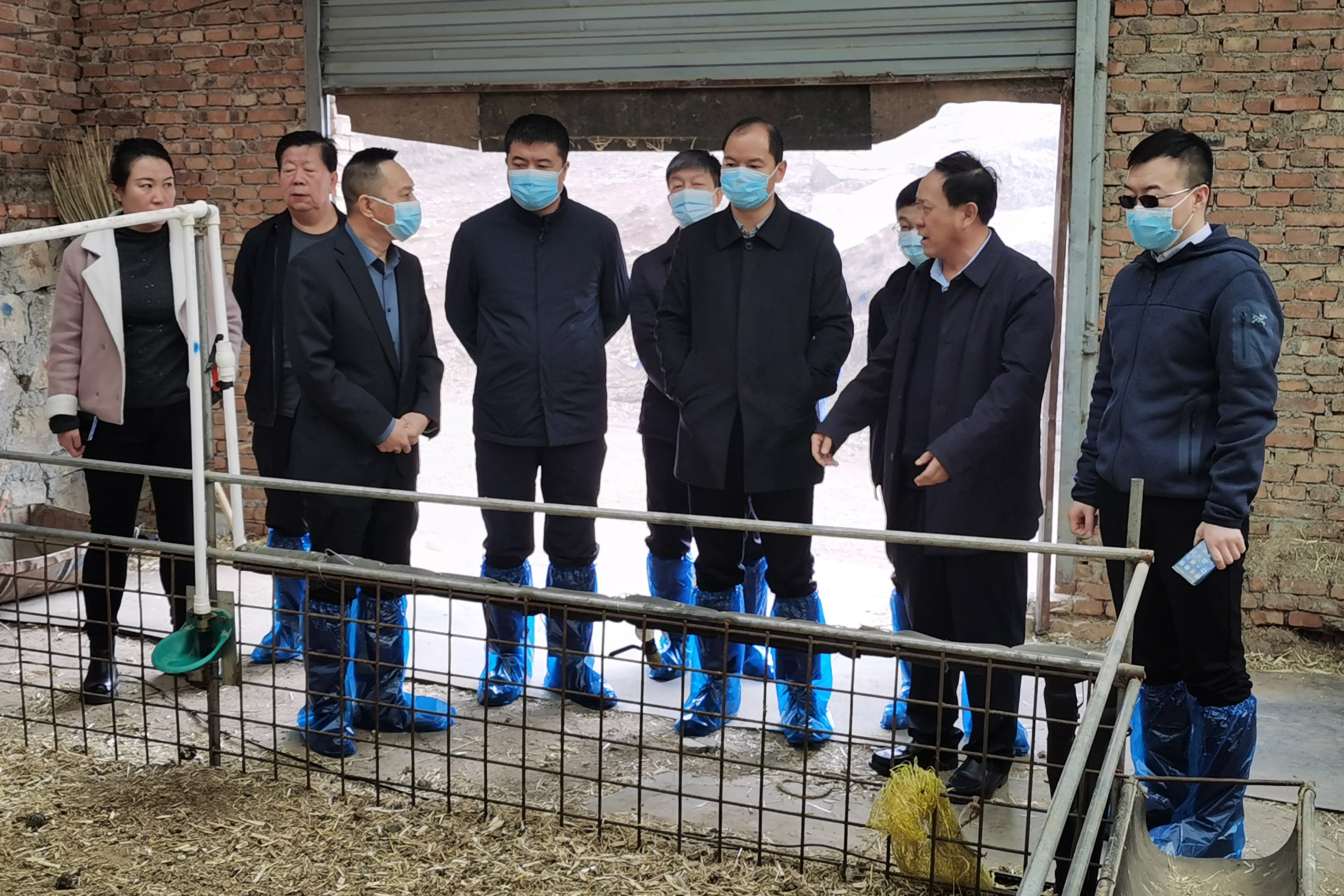 6eb83a19b34140c8922472831b8fa575.jpg 6eb83a19b34140c8922472831b8fa575.jpg