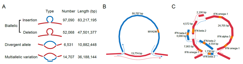 9bef979dd6ea401581096ba5ed8a8f4c.png 图1_副本.png