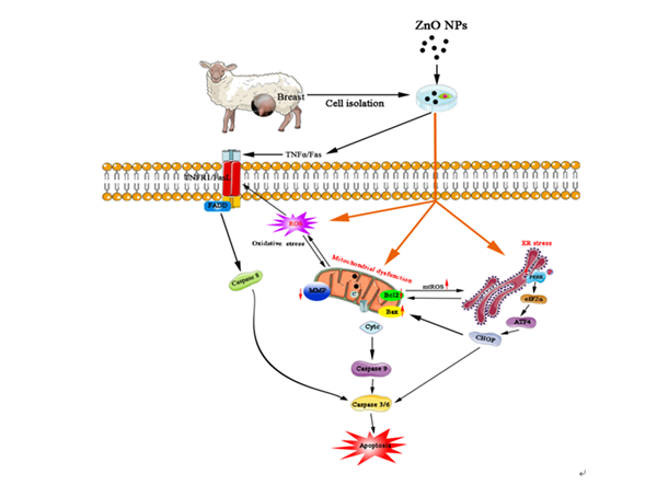 bd51fc2b83584f24ba3885e3529efaf6.png QQ图片20230320113254_副本.png