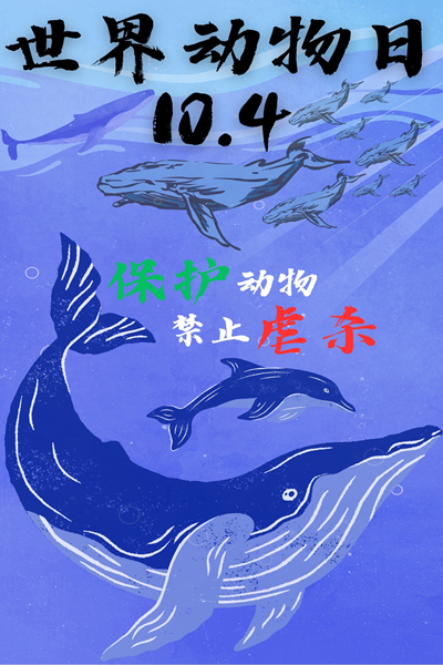 15f1e3e8a08248ada32a5d4af2ffc66d.png 动科2201马娇艳.png