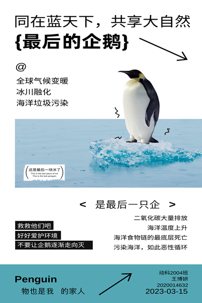 e749e24ba78845e4bcf9f7a892559806.png 动科2004王博妍.png