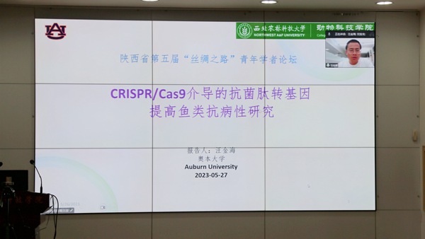 2eb8e7c5fb0349269bda771e146be725.jpg 4.jpg