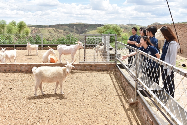 114e4d84b0c6449eb92aa823bcdc1119.jpg 图片三 队员参观示范性绒山羊养殖场.JPG