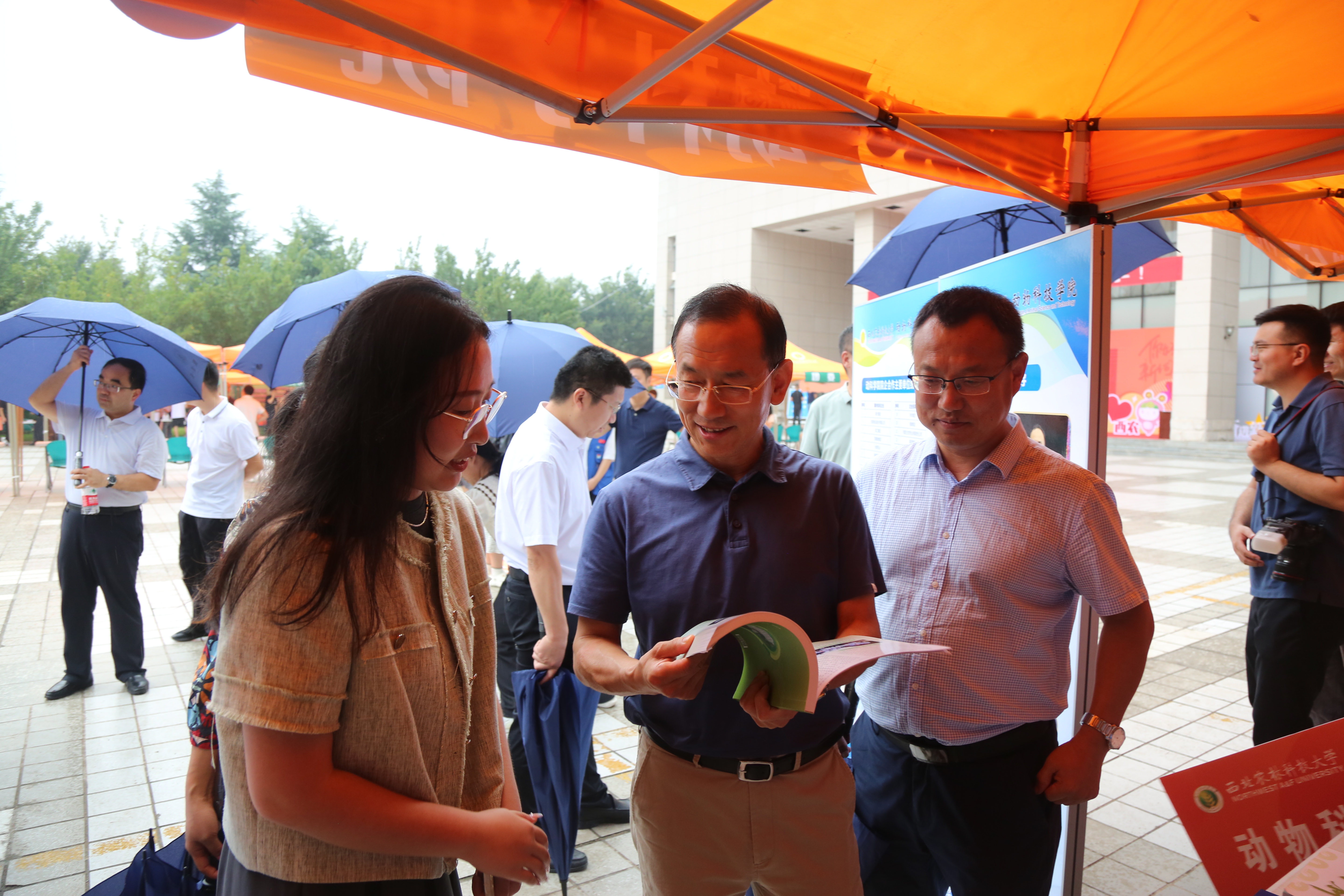 11bef83a2eb8411aacab657e9789e411.jpg 11bef83a2eb8411aacab657e9789e411.jpg