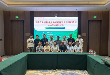 24b70832308f4776ac713680c64f7527.png 1.png