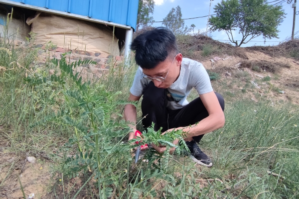 46a27e2409534d4ea2ba184471f86960.jpg 46a27e2409534d4ea2ba184471f86960.jpg