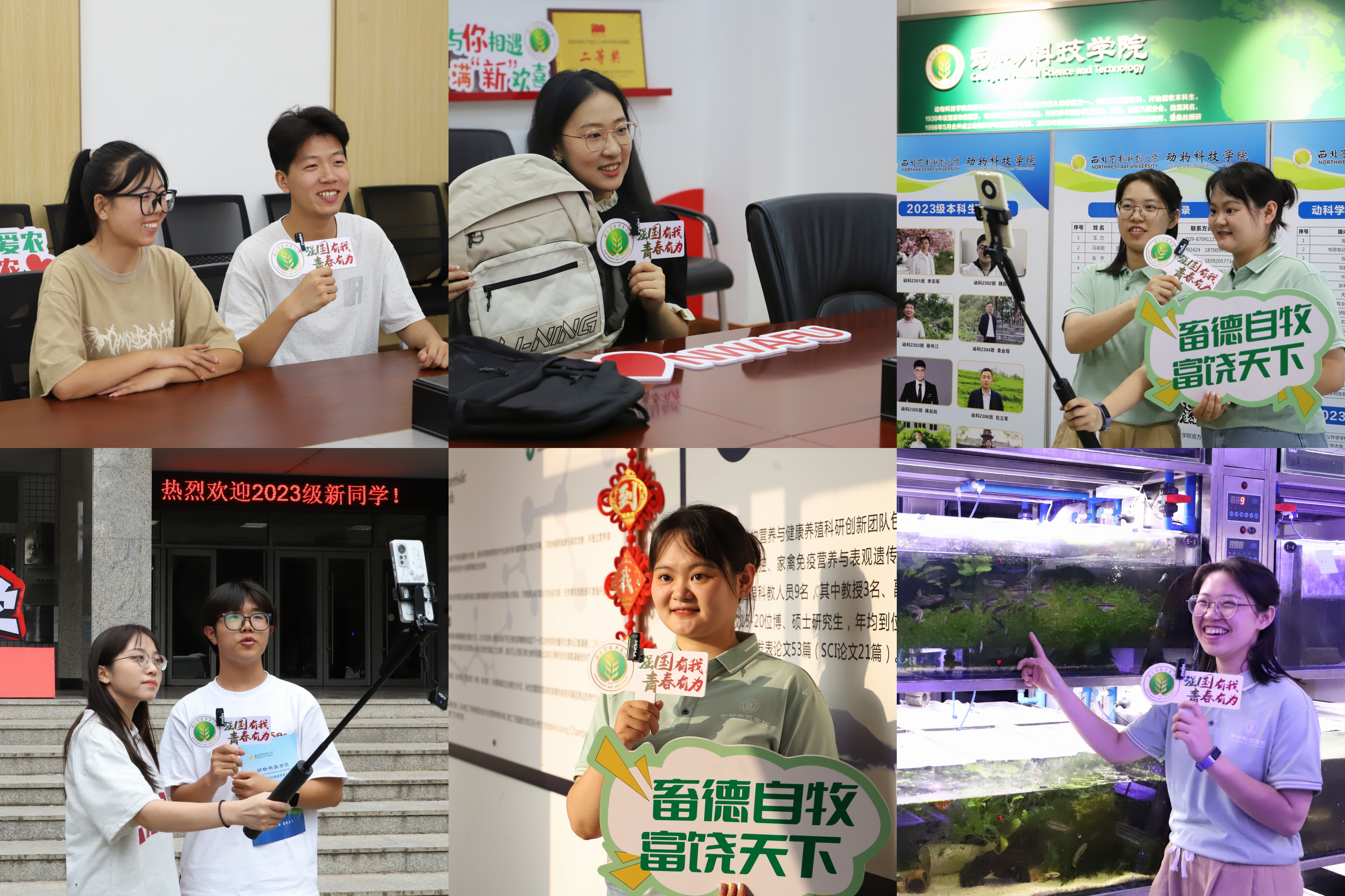 70538af4689e41039f3f5b09348ce10d.jpg 70538af4689e41039f3f5b09348ce10d.jpg