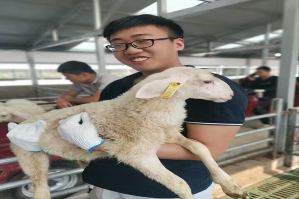 e3d272d12472493fb1b2b0edc3652d10.jpg 服务队成员拥抱湖羊.jpg