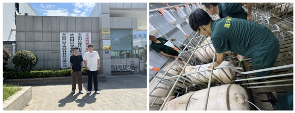 216900e4f0e04e1eb1cfdda593d98772.png 图1_副本.png