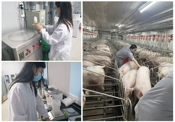 2a53522e9ac84f67a486b2a35f18490e.png 图3_副本.png