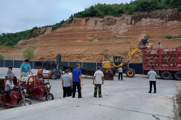 a88e1fb5e4794c048d4f6acf20a3478a.jpg 实践团队在实习中赶羊装车.jpg