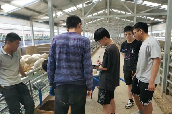 cc79771f0f4248f2a434ee091455a3f8.jpg 实践团队在实习中记录生产数据.jpg