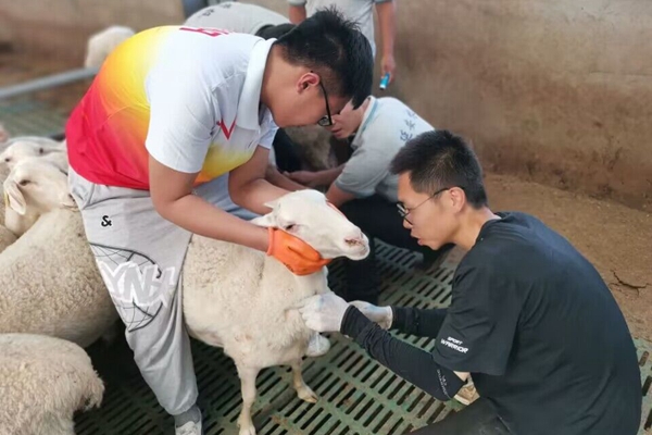 cee3f2fd6fa74422963f0a97e561d044.jpg 实践团队在实习中采集血样.jpg