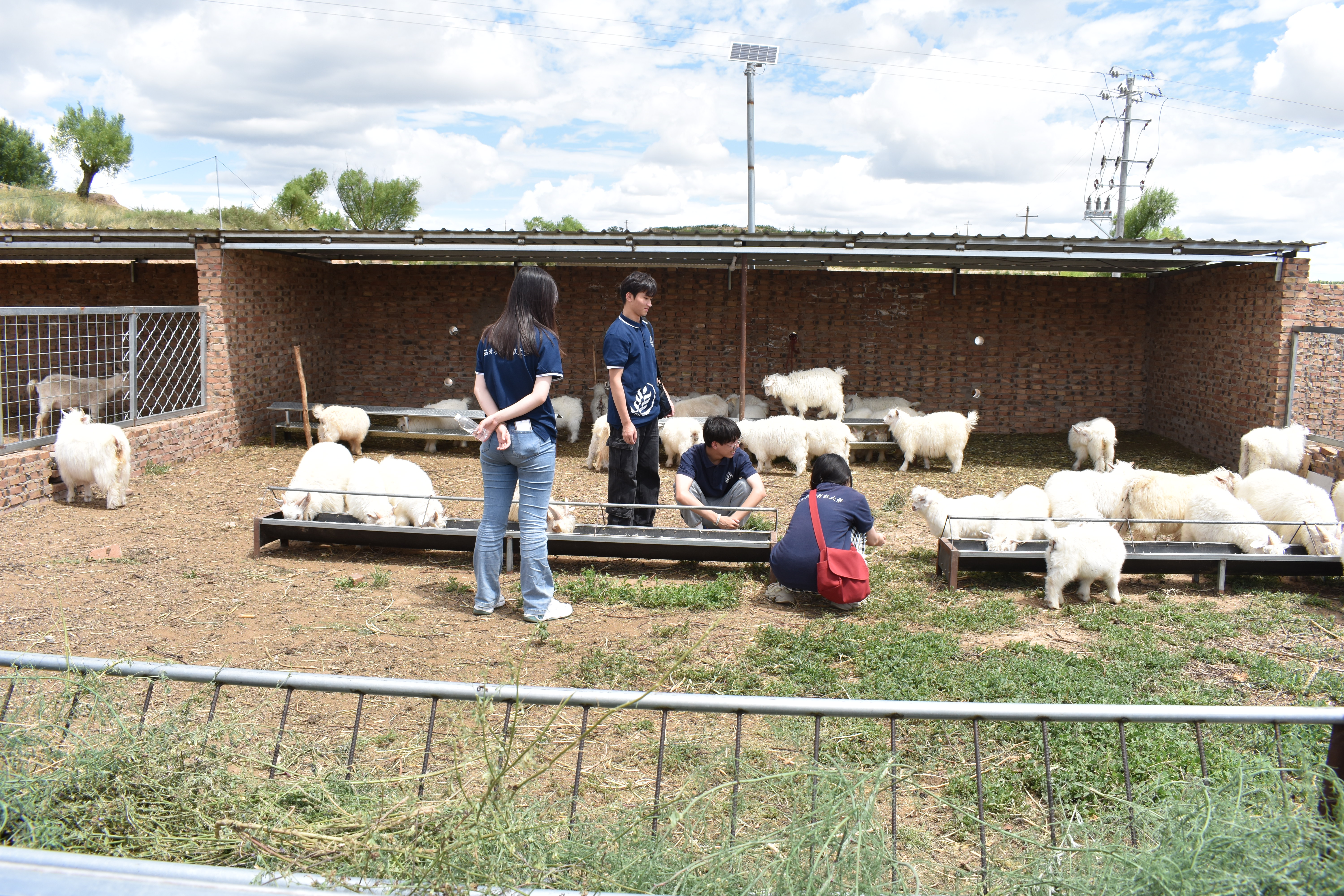 153b768bb6674a3ca65c340f94f97d3d.jpg 153b768bb6674a3ca65c340f94f97d3d.jpg