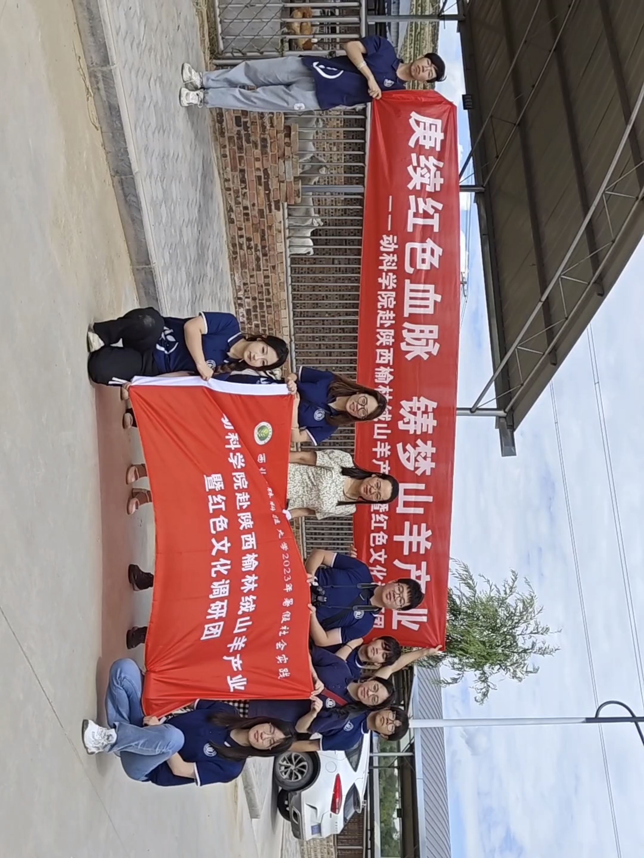 42b774009c1c4533941b13df411ac9ba.jpg 42b774009c1c4533941b13df411ac9ba.jpg