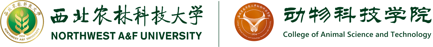 国产在线
